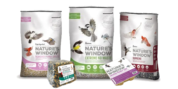 Bird Food and Bird Feeders